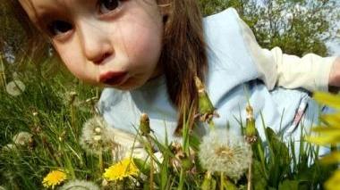 Oculorinite, tosse o asma sono tra i disturbi principali causati dall’allergia ai pollini delle graminacee e di olivo
