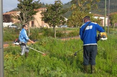Se non viene tagliata lerba ci pensano i volontari  