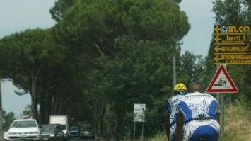Un tratto della strada regionale 439 Sarzanese Valdera