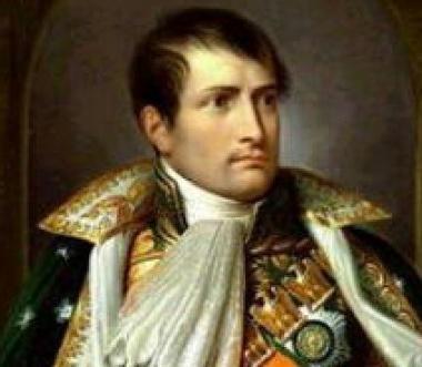 Unimmagine di Napoleone 