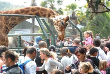 Visitatori allo zoo di Pistoia      