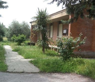 <b>FRAZIONI. </b>Due immagini dellerba alta nei giardinetti        