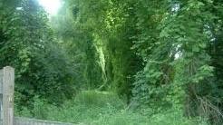 L’area lungo viale Einaudi a S. Anna