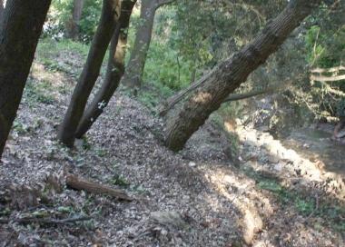 La frana al Limoncino: sul posto i vigili del fuoco 