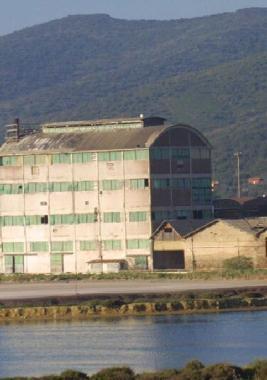 L'area dell'ex Sitoco "incubatrice" di nuove aziende
