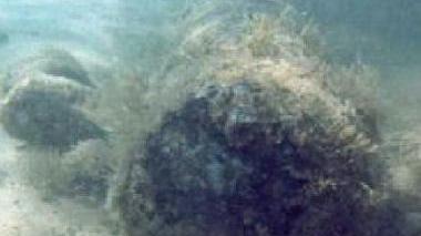 L’oggetto ritrovato