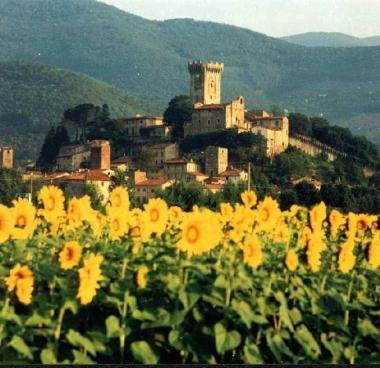 Una veduta del borgo di Vicopisano   