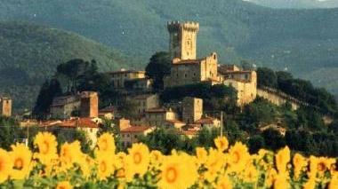 Una veduta del borgo di Vicopisano