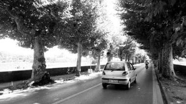 Un tratto di via Garibaldi con i suoi caratteristici alberi