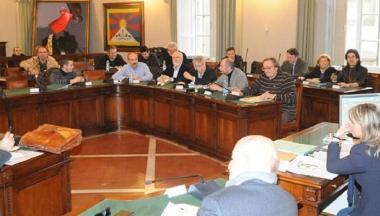 Il gruppo del Pdl in consiglio comunale 