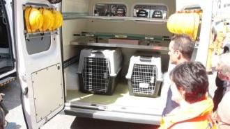 La nuova ambulanza veterinaria della Svs è dotata di gabbie