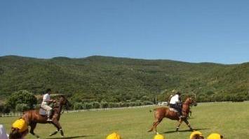 I bambini scoprono i segreti del polo