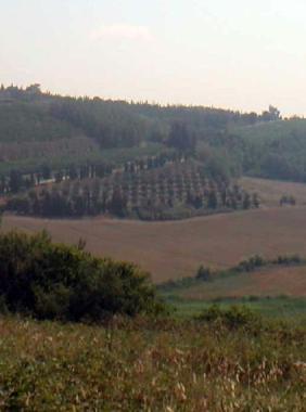 Una veduta dellarea ex Gaslini 