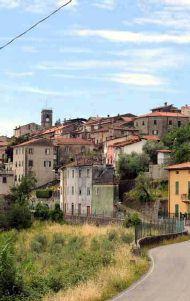 Entra in casa e ci trova i ladri che subito fuggono