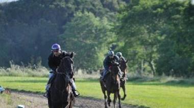 Ore 7 del mattino: una fase dell’allenamento