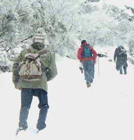 La nevicata che ha danneggiato numerosi sentieri del Parco 