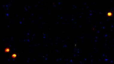 «Ho visto degli Ufo»