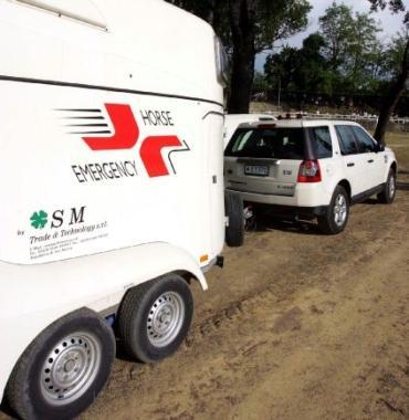 Lambulanza veterinaria in Buca 