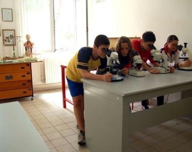 Scuole, laboratori a rischio abbandono