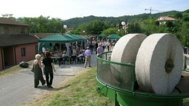 Una festa della fienagione