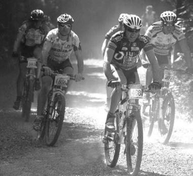 Ciclisti in sella alle mountain bike 