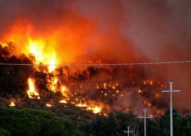 Lincendio di settembre 2009 