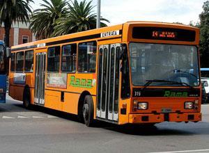 Orbetello, autista rubava carburanti dai bus: arrestato