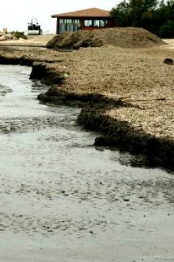 I commercianti coi balneari: «Spiagge sporche»