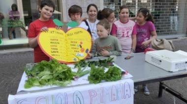 Piccoli ortolani in piazza,gli studenti mettono in mostrai prodotti coltivati a scuola