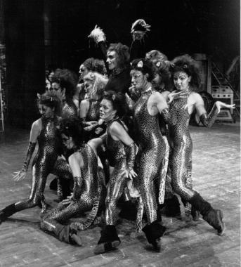 Torna Grosseto Danza Da domani sedici serate