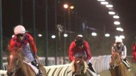  <b>RIPARTE. </b> Una corsa notturna al «Caprilli»