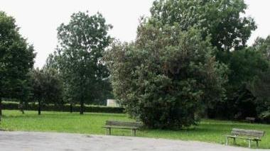 I giardini di via Gagarin a Cafaggio