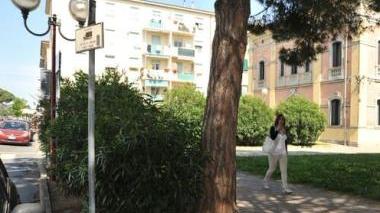 Accanto al pino lo spazio rimasto vuoto, dopo la rimozione della fontina