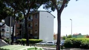 Cassonetto sistemato all'altezza delle strisce