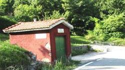 Bus contro il muro, 7 bimbi feriti