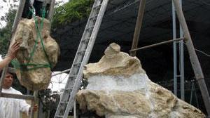 Ricercatori pisani trovano "mostro marino" in Perù