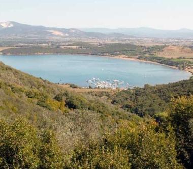 BARATTI