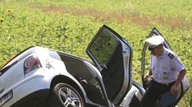 I rilievi dell’incidente effettuati dai vigili urbani di Rosignano Marittimo