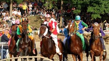 I cavalli al canape durante il Palio del 23 maggio scorso Nell’altra foto il fantino Silvano Mulas di Porta Bernarda