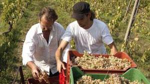 Tutto pronto per il censimento delle aziende agricole locali