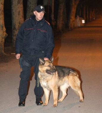 <b>CONTROLLI.</b> Carabinieri in pineta 