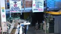Assemblea nell’azienda di via della Costaglia
