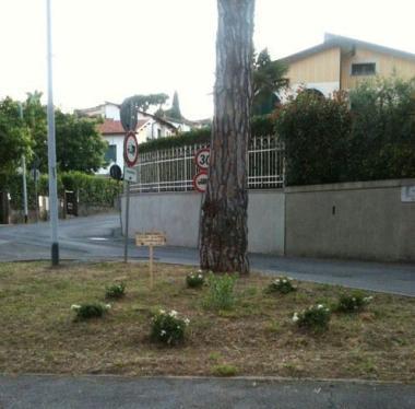 Una delle aiuole rimesse a nuovo dai Figlideifiori 