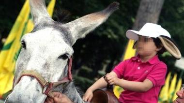 Un bambino disabile in sella