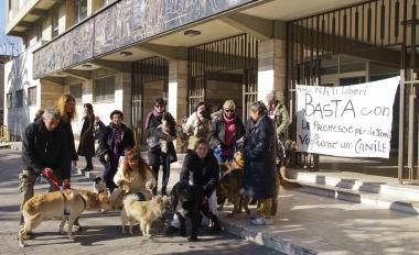 Manifestazione davanti al Comune per il canile    