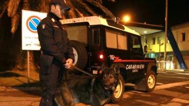 Anche le unità cinofile nell’operazione Estate sicura