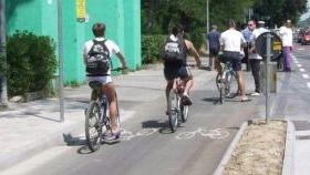 La pista ciclabile che termina a Tirrenia costringendo i ciclisti ad attraversare la strada