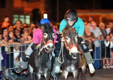 Il palio dei ciuchi