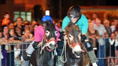 Il palio dei ciuchi