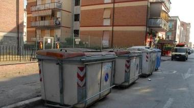 <b>CASSONETTI.</b> L’aria nel negozio di animali è irrespirabile